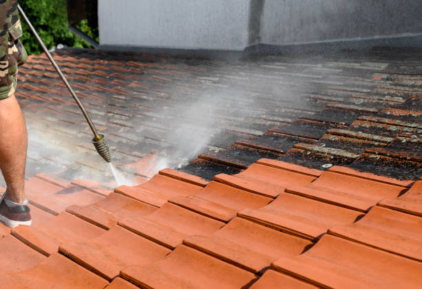 Best Sidewalk Pressure Washing  in Wormleysburg, PA